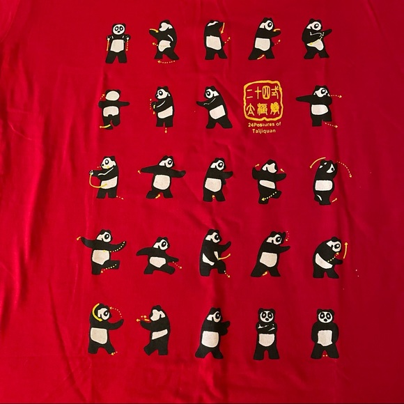 Tai Chi Panda T Shirt - Picture 2 of 10